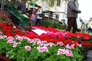 Fr&uuml;hlingsmarkt in Bleicherode