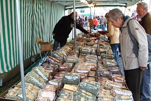 Fr&uuml;hlingsmarkt in Bleicherode