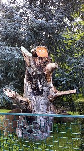 Abenteuer in Thale