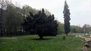 Abenteuer in Thale