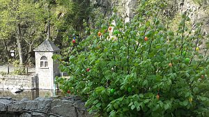 Abenteuer in Thale