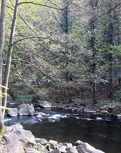Abenteuer in Thale