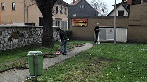Gesammelt