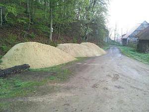 Gemeinsam f&uuml;r Neustadt
