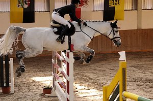 Pferdesportwochenende in Wollersleben