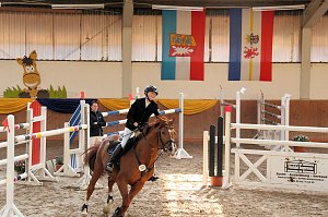 Pferdesportwochenende in Wollersleben