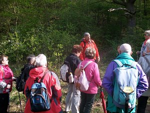 Wundersch&ouml;ne Wanderung