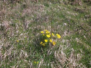 Wundersch&ouml;ne Wanderung