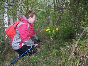 Wundersch&ouml;ne Wanderung