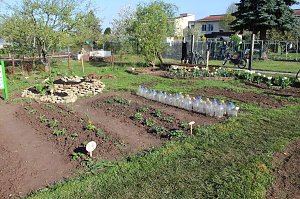 Kindern Natur nahe bringen