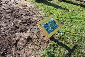 Kindern Natur nahe bringen