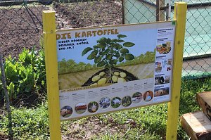 Kindern Natur nahe bringen