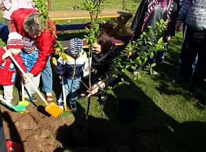 Fertigstellung des Projektes Zwergengarten