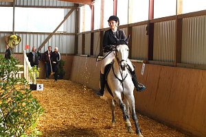 Reitturnier in Immenrode
