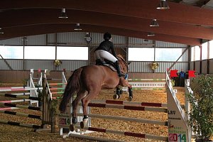 Reitturnier in Immenrode