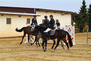 Reitturnier in Immenrode