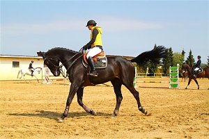 Reitturnier in Immenrode
