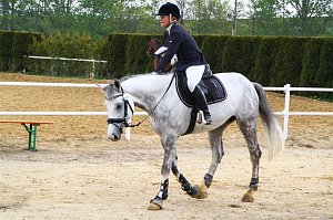 Reitturnier in Immenrode