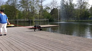 Im Stadtpark unterwegs