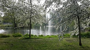 Im Stadtpark unterwegs
