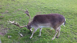 Im Stadtpark unterwegs