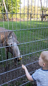 Im Stadtpark unterwegs
