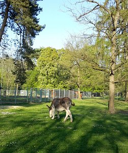 Im Stadtpark unterwegs