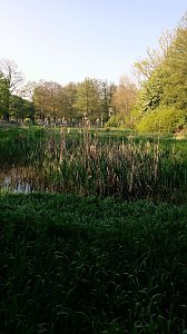 Im Stadtpark unterwegs