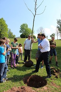 Zum Fest einen Baum gepflanzt