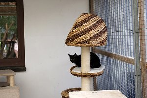 Besucherrekord im Tierheim