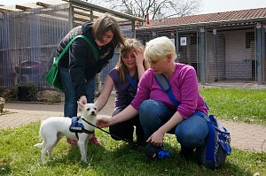Besucherrekord im Tierheim