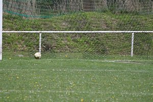 Sollstedt gewinnt gegen Bleicherode