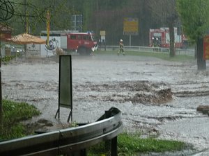 Netzkater unter Wasser