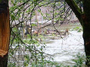 Spuren des Unwetters