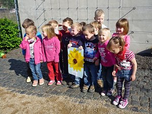 Blumen f&uuml;r die Flohburg