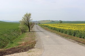 Und wieder ist ein Teilst&uuml;ck UWR fertig
