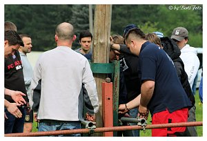 Maibaum gesetzt