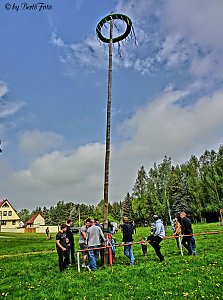 Maibaum gesetzt