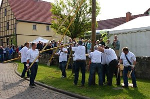 Maibaum in Obergebra gesetzt