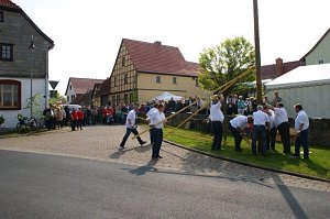 Maibaum in Obergebra gesetzt