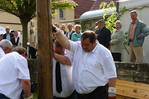 Maibaum in Obergebra gesetzt