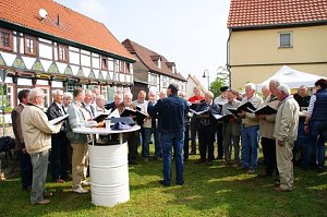 Maibaum in Obergebra gesetzt