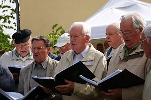 Maibaum in Obergebra gesetzt