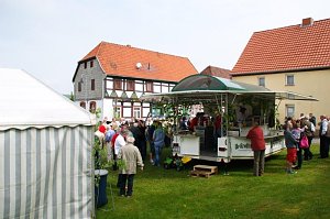 Maibaum in Obergebra gesetzt