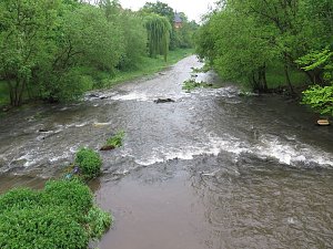 Wasser im Teich und im Park