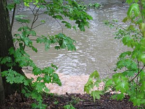 Wasser im Teich und im Park