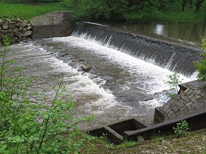Wasser im Teich und im Park