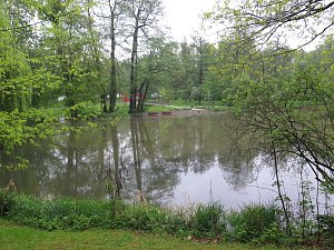 Wasser im Teich und im Park