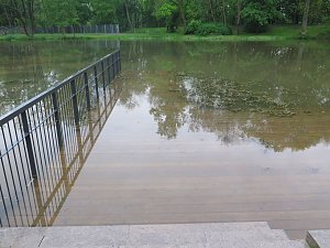Wasser im Teich und im Park