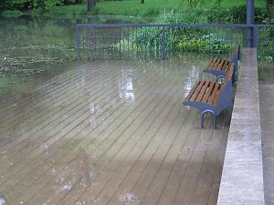 Wasser im Teich und im Park